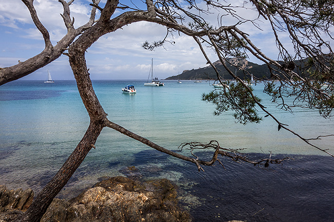 photo france vars porquerolles