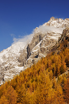 photo montagne alpes ecrins randonnée raquettes automne ailefroide pre madame carle meleze