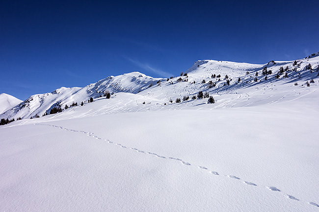 photo montagne alpes randonnée rando raquettes savoie beaufortain grand naves quermoz