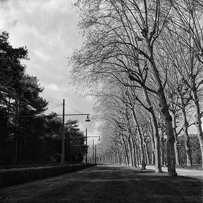 photo rolleiflex lyon cite internationale