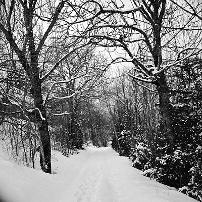 photo rolleiflex montagne vercors