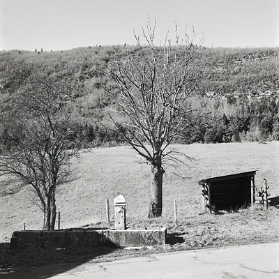 photo montagne alpes saint agnan en vercors paysage rolleiflex argentique