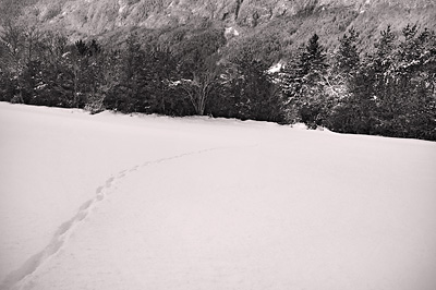 photo montagne alpes saint agnan en vercors neige traces noir et blanc