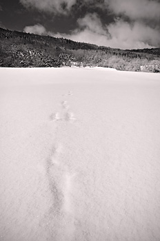 photo montagne alpes saint agnan en vercors neige traces noir et blanc
