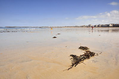 photo france bretagne normandie saint malo plage