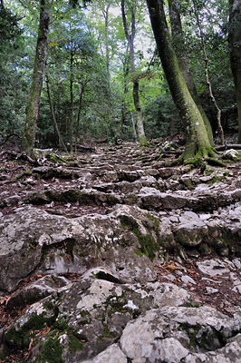 photo montagne randonnée marseille sainte baume