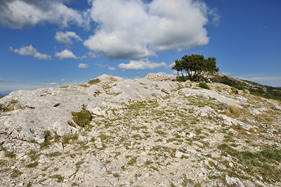 photo montagne randonnée marseille sainte baume