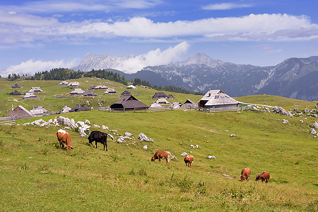 photo voyage europe centrale alpes balkans slovenie alpes kamniques velika planina