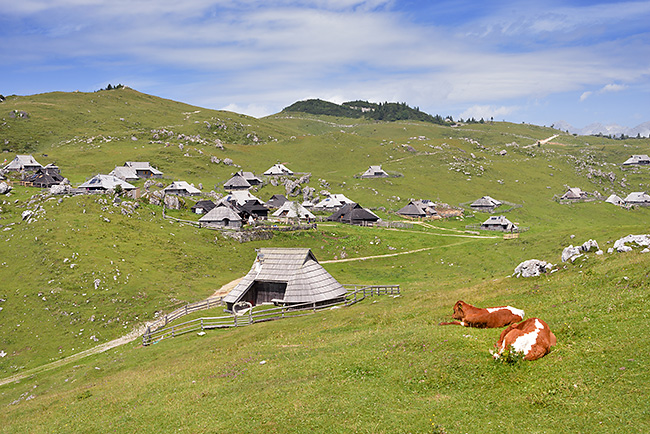 photo voyage europe centrale alpes balkans slovenie alpes kamniques velika planina