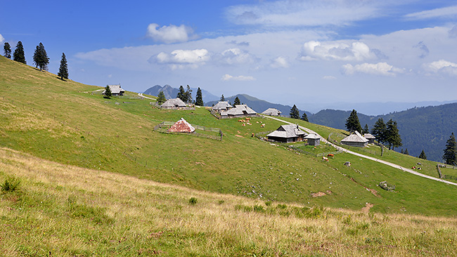 photo voyage europe centrale alpes balkans slovenie alpes kamniques velika planina