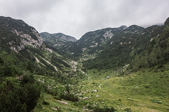 photo voyage europe centrale alpes balkans slovenie alpes julienne bohinj vogel