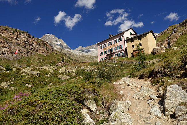 photo montagne alpes randonnée suisse valais zermatt edelweiss Hohbalmen