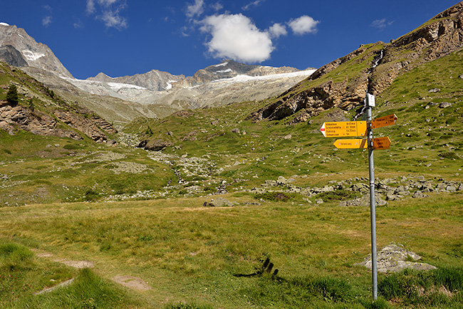 photo montagne alpes randonnée suisse valais zermatt edelweiss Hohbalmen