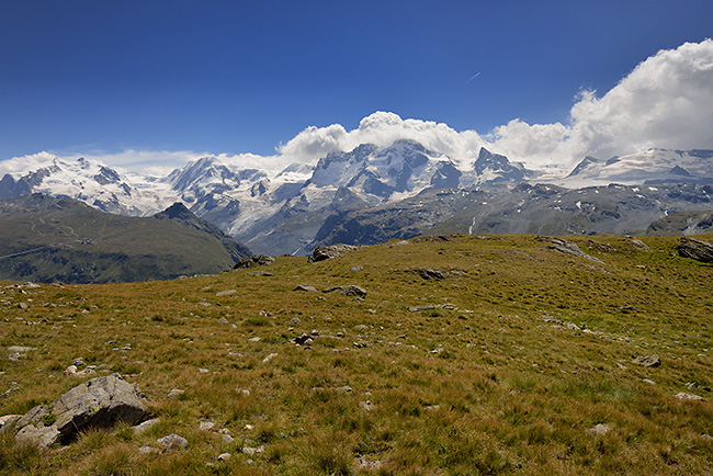 photo montagne alpes randonnée suisse valais zermatt edelweiss Hohbalmen