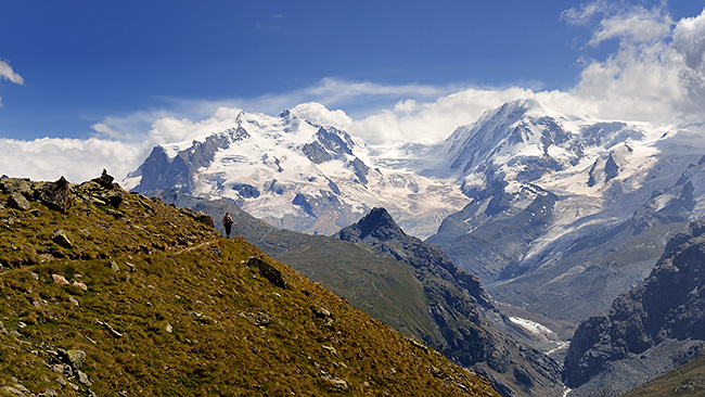 photo montagne alpes randonnée suisse valais zermatt edelweiss Hohbalmen