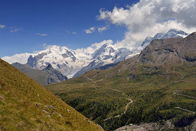 photo montagne alpes randonnée suisse valais zermatt edelweiss Hohbalmen