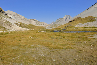 photo montagne alpes randonnée tour des glaciers vanoise TGV