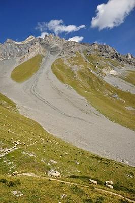 photo montagne alpes randonnée tour des glaciers vanoise TGV sentier moutons