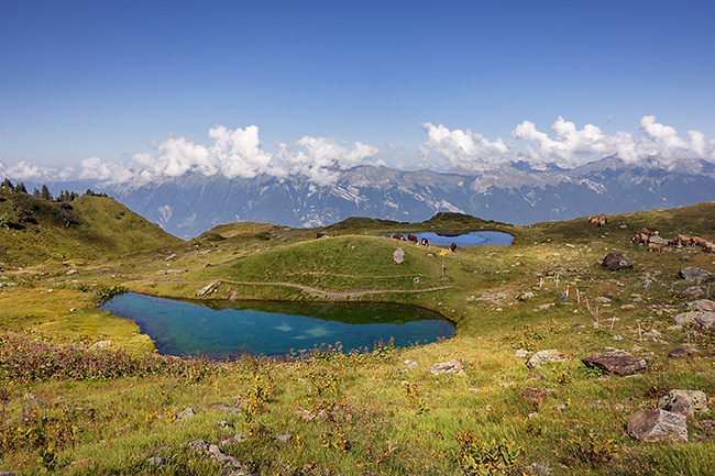 photo montagne alpes randonnée rando savoie lauziere grand arc albertville thuile dent du corbeau