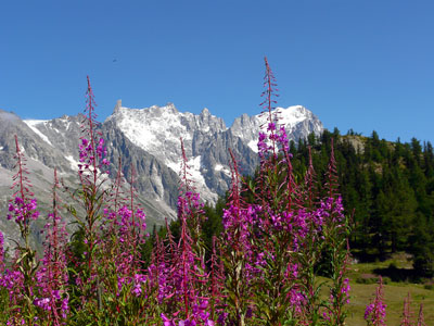 photo montagne alpes randonnée tour du mont blanc tmb kora col chécroui italie