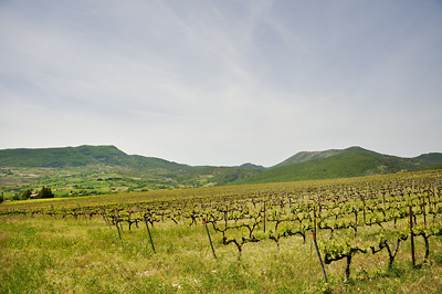 photo montagne alpes randonnée tour baronnies vignes