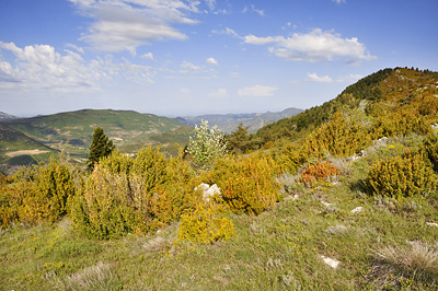 photo montagne alpes randonnée tour baronnies col tunes