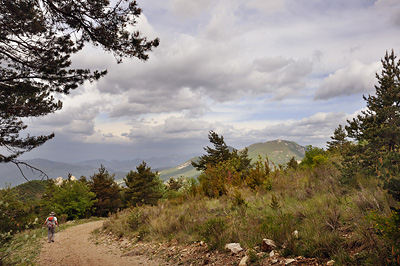 photo montagne alpes randonnée tour baronnies lemp foret