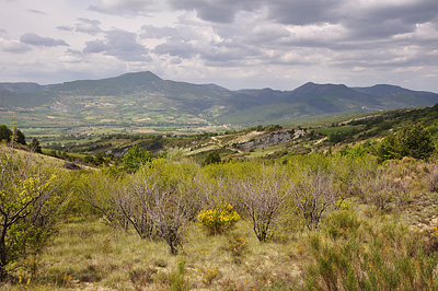 photo montagne alpes randonnée tour baronnies vallee bellecombe tarendol