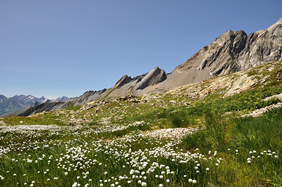 photo montagne alpes beaufortain mont blanc randonnée vallee glaciers linaigrettes