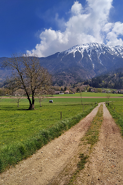 photo montagne alpes randonnée rando vélo savoie bauges faverges albertville col de tamié