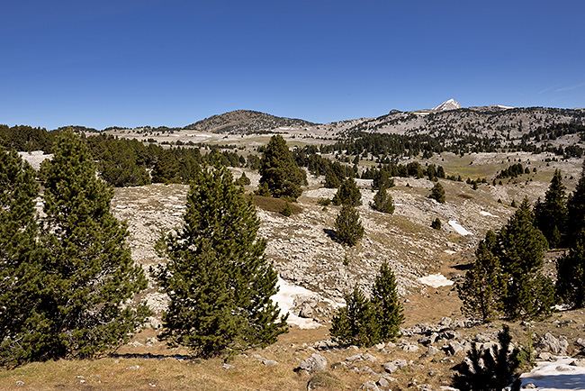 photo montagne alpes randonnee rando vercors plateaux refuge cabane chaumailloux mont aiguille