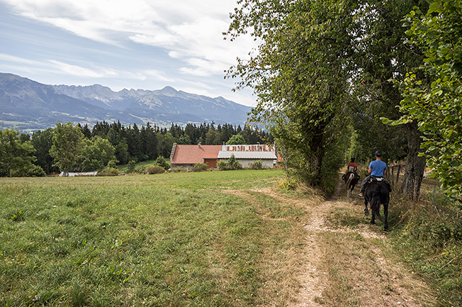 photo montagne alpes randonnee rando vercors cheval lans meaudre autrans moliere