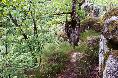 photo montagne via ferrata aveyron aubrac bois baltuergues