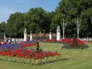 Jardins devant Buckingham Palace
