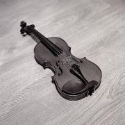 Violon