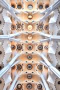 Sagrada Familia - détail des plafonds de la nef