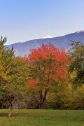 Automne et Mont Blanc