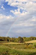 Arc-en-ciel d'été