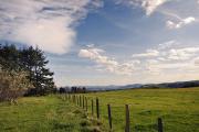 Paysage du Forez