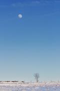 Seul face à la Lune
