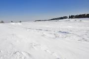 Le vent souffle la neige