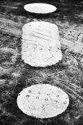 Rivets de l'avion