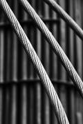 Droites et courbes - version noir et blanc