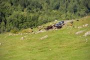 Embouteillage en Svanétie