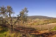 Campagne toscane