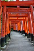 Fushimi-Inari - Chemin de toriis