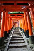 Fushimi-Inari - Chemin de toriis