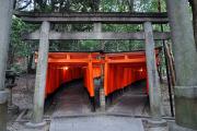 Fushimi-Inari - Chemin de toriis