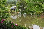 Jardins du temple Ryoan-ji