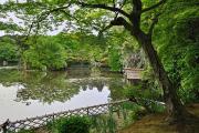 Jardins du temple Ryoan-ji
